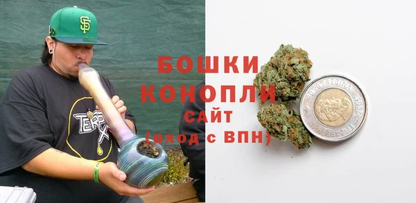 молекула духа Бронницы