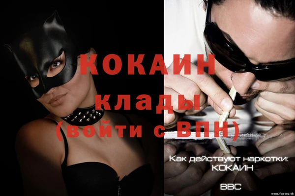 бошки Бородино