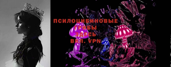 молекула духа Бронницы