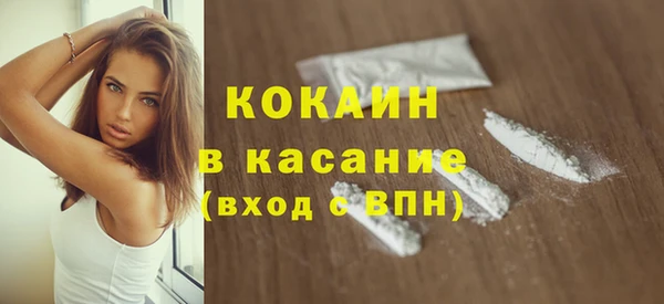 бошки Бородино