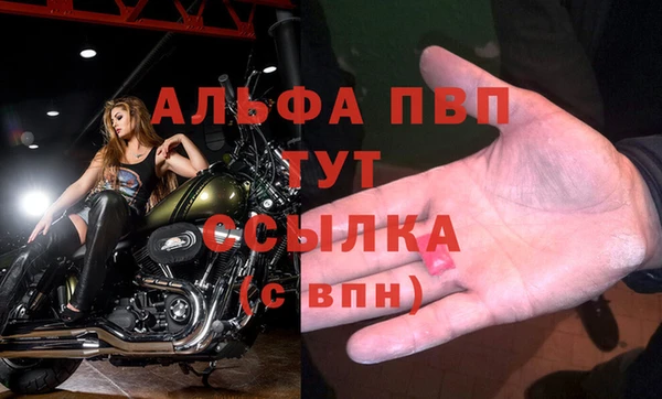 бошки Бородино