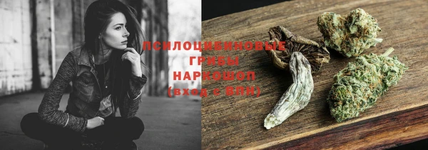 бошки Бородино