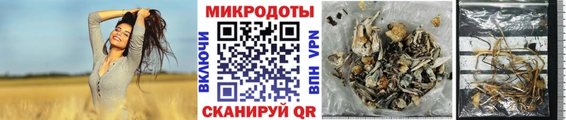 Галлюциногенные грибы прущие грибы  Колпашево 