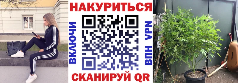 Шишки марихуана SATIVA & INDICA  Колпашево 